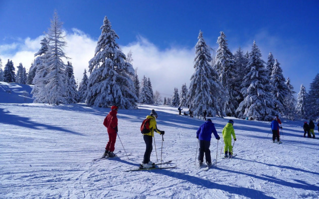 Chalet Hotel Du Bois