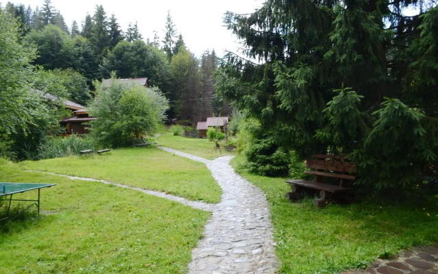 Zarinok