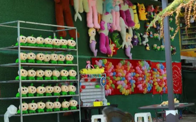 Hongya Liujiang Ancient Town Alsophila spinulosa B&B