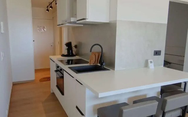 Apartment in Nieuwpoort With Stunning Sea View