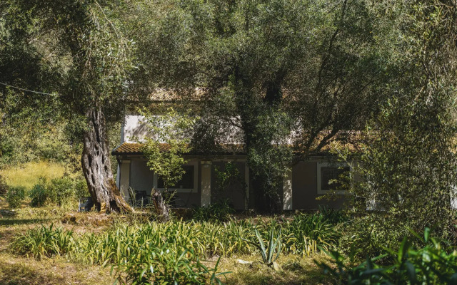 Dimoulitsa Villas Complex