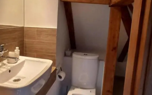 Vėtrungėlė