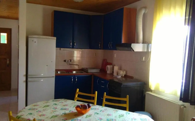 Apartments with a parking space Rukavac, Vis - 13337