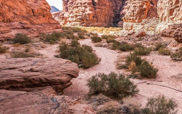 Wadi rum Desert Bedouin Life