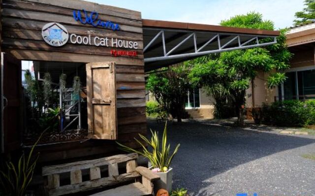 Cool Cat House