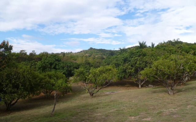 Manati - Finca Hotel