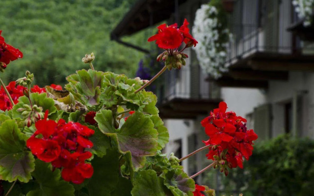 Sul Bric Dei Capalot