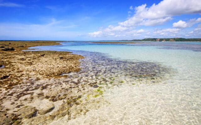 Eco Pousada Paraíso dos Coqueirais