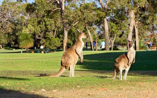 Novotel Swan Valley Vines Resort