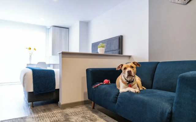 Torre Ventto Lofts by Jalo