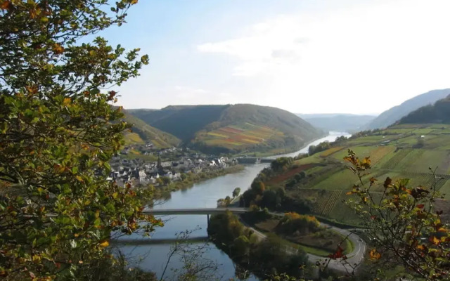 Appealing Apartment in Sankt Aldegund