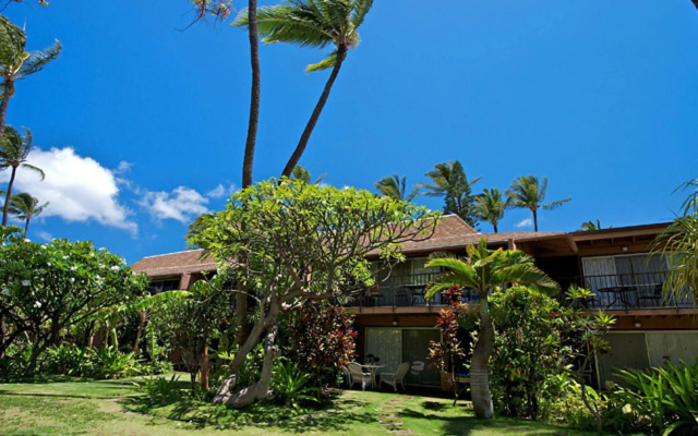 Maui Sands