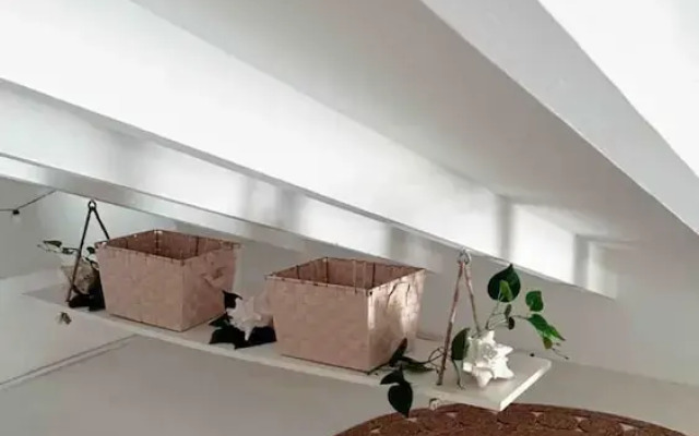 Palm Beach Vacaysuites - Bamboo Suite - Studio