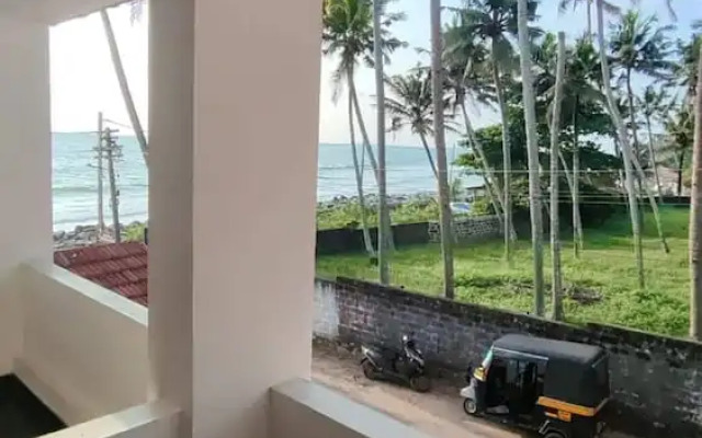 Palm Tree Heritage