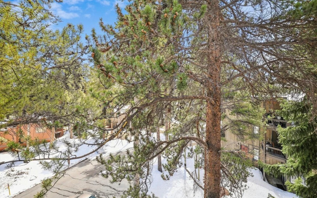 Gold Camp 54 2 Bedroom Condo