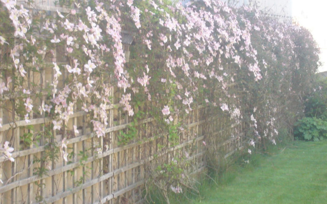 Redshill B&B