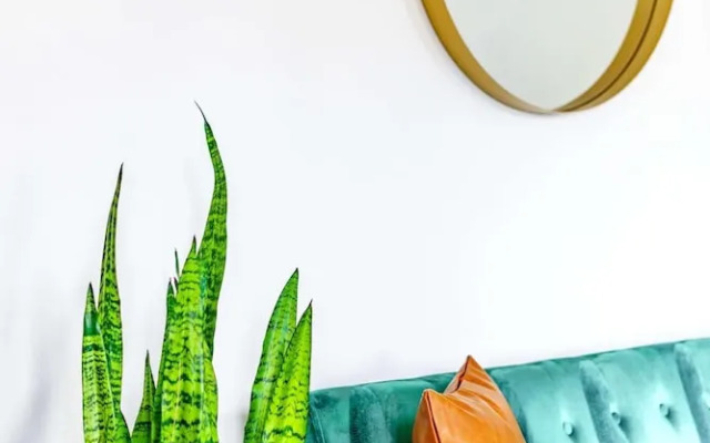 Prime Location Clean Top Rated Free Parking