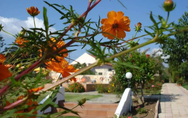 Androulakis Apartments
