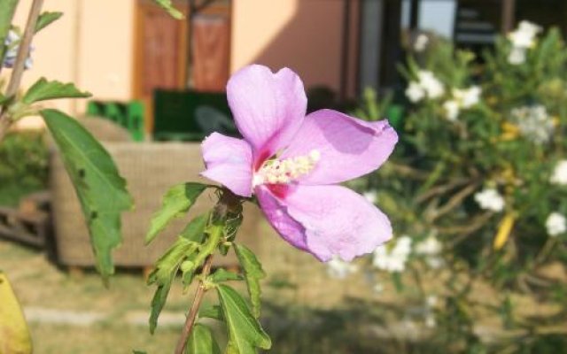 Agriturismo La Nocciolina