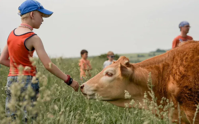 Nengshof - Haus Ehrenpreis