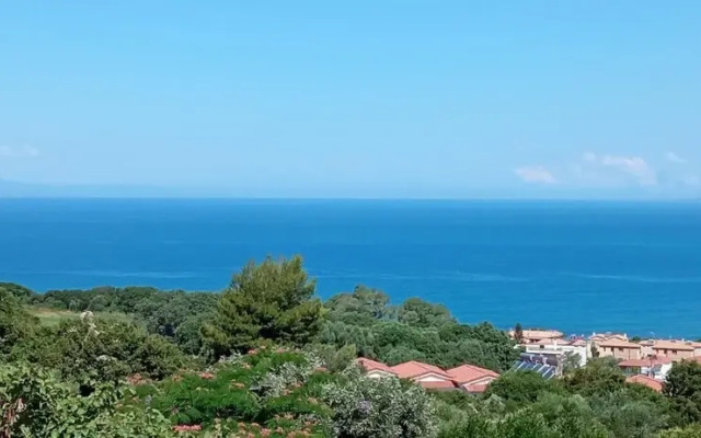 Skafidia Villa Yucca - Garden Haven Retreat