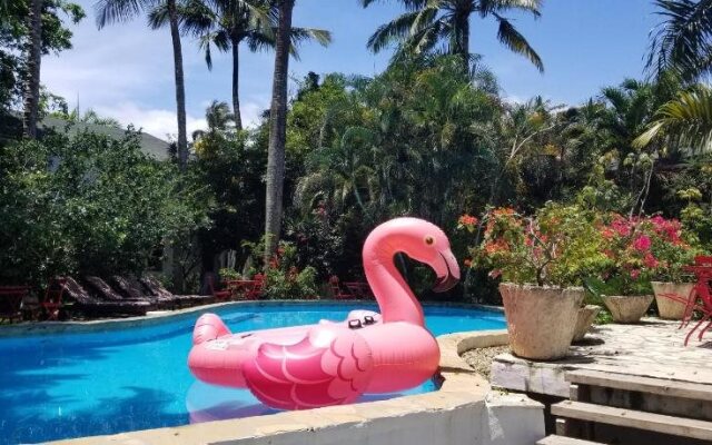 Cabarete Surf Camp
