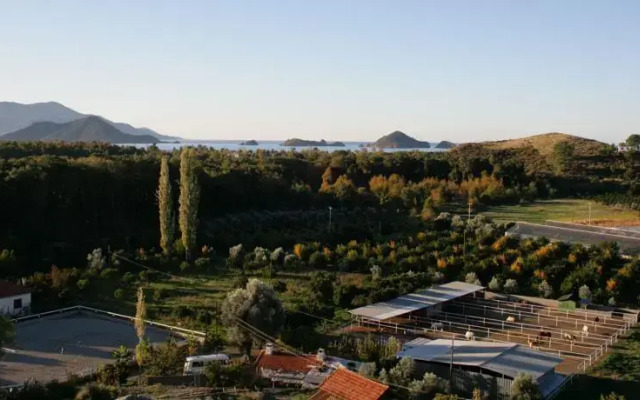 Isa M. Guesthouse