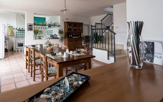 B&B Belvedere