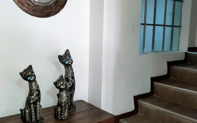 Hotel Casa Victoria Av 30