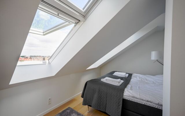 Spacious 3-bedroom Apartment With a Rooftop Terrace in the Center of Copenhagen