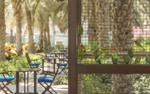 Coral Beach Resort - Sharjah