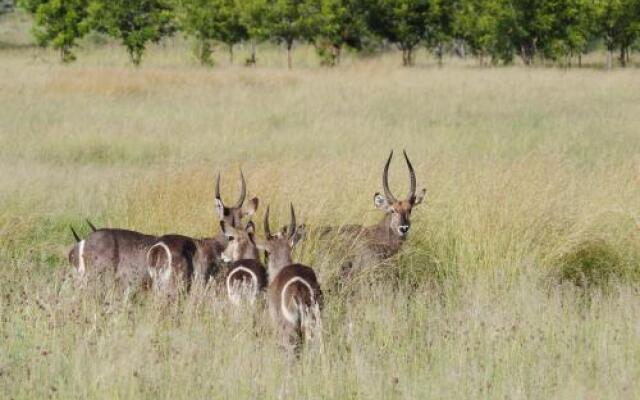 Woodlands Game Lodge Leisure