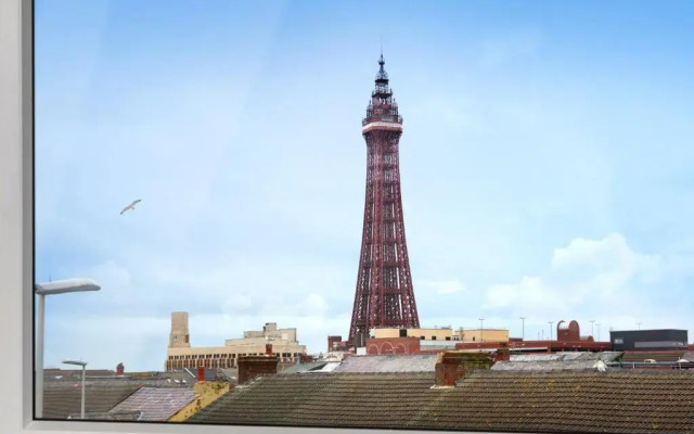 Blackbird Luxury Apartments Room 3