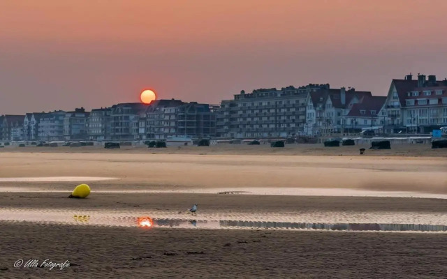 Strandvakantieappartement Zilverstrand - met binnenzwembad!