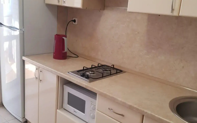 Apartments on Gagarin Avenue 45