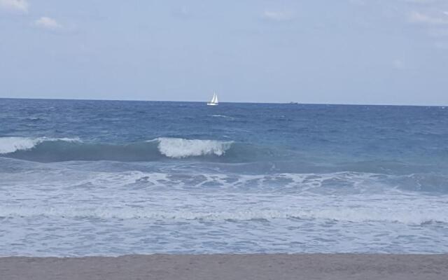 Amber Coast  Sea