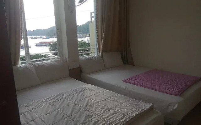 Green Bamboo Forest Cat Ba