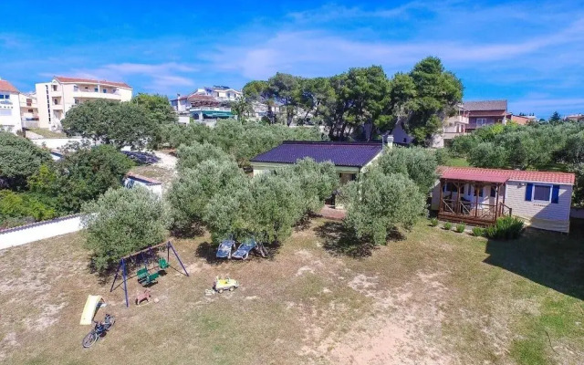 Iva - Great Garden - H