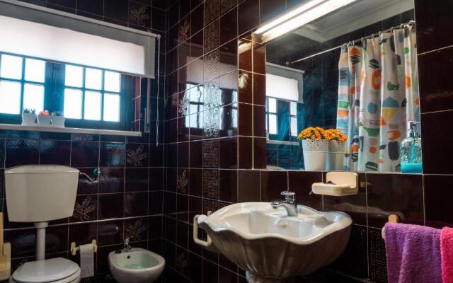 Offshore Rustic House