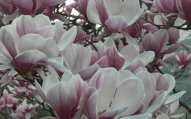 Room for 4 in The Countryside Near Montecassino
