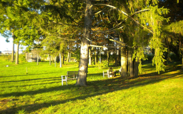 Vineyard Villa Bed & Breakfast