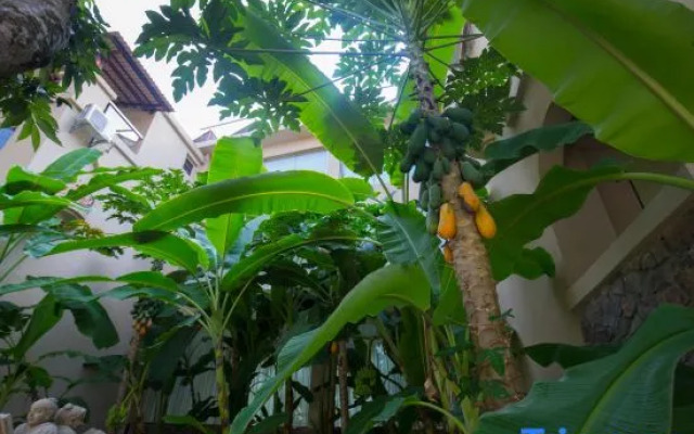 Xishuangbanna Lanzhu Villa Hotel