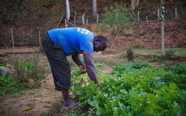 Eco Resort Bela Riba