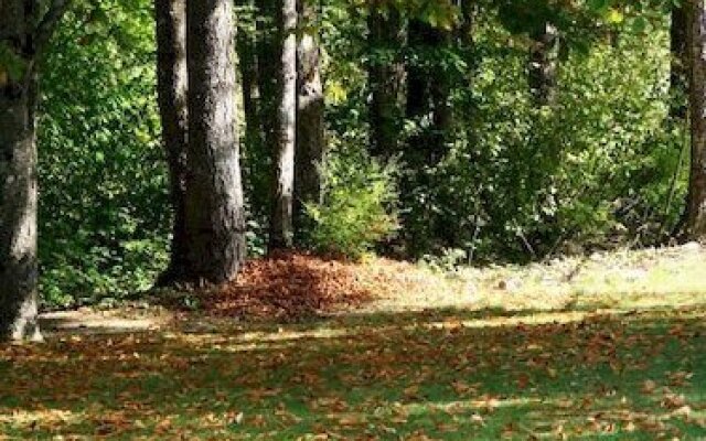 Cabins and Campground at Cultus Lake Park