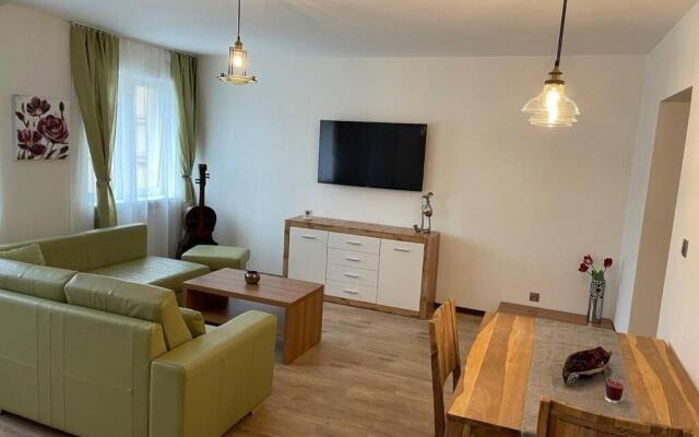 Newly renovated 2 rooms apartment downtown Nitra