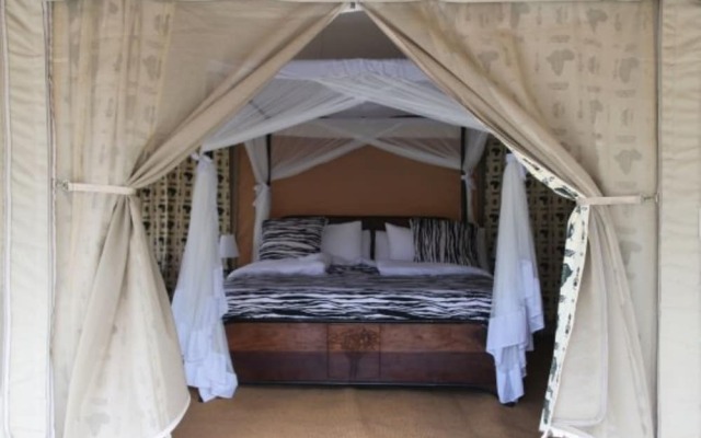 Acacia Seronera Luxury Camp