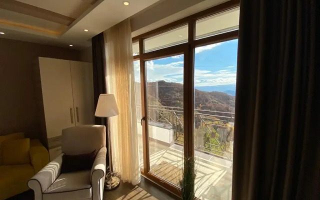 Milmari Mountain view - I11