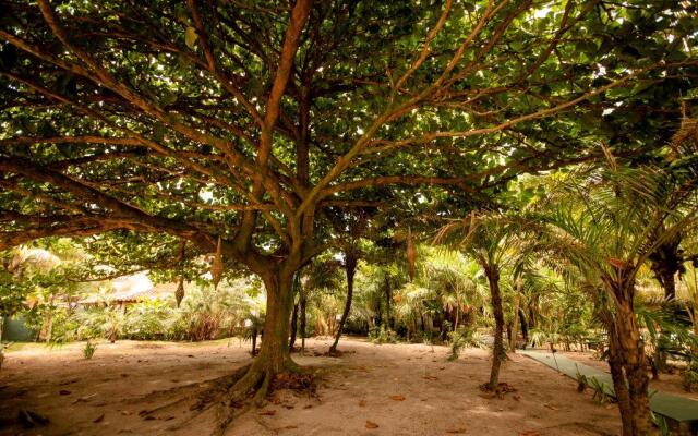 Na Villa dos Algodões