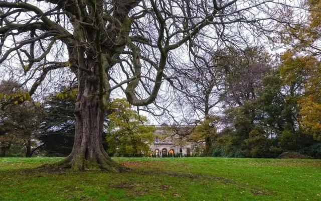 Alfreton Hall