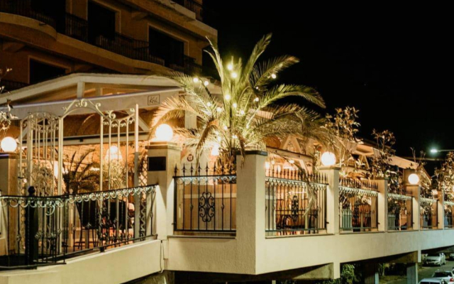 Hotel Coandi